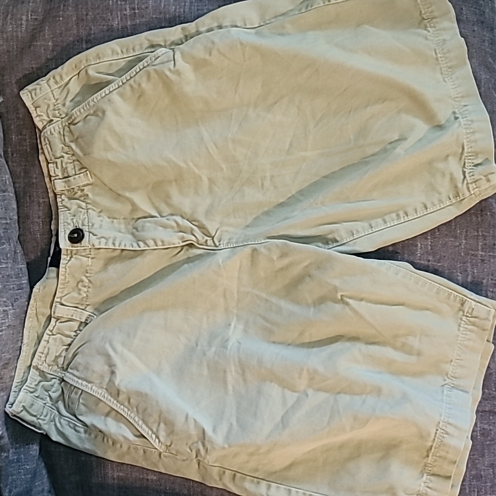 AE Tan shorts